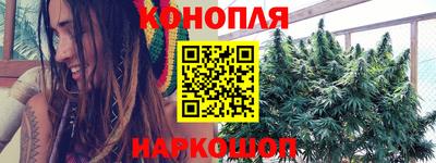 сатива Обнинск