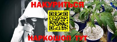 сатива Обнинск