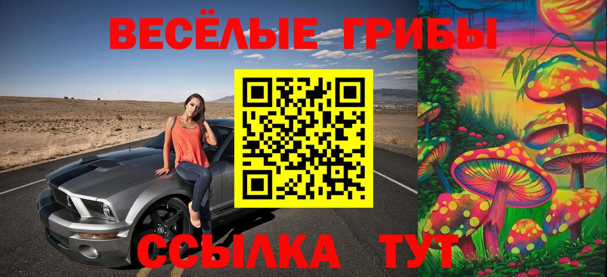 Псилоцибиновые грибы ЛСД  Вход с VPN  Галлюциногенные грибы Magic Shrooms  Торжок 