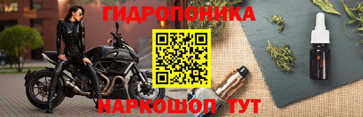 Конопля OG Kush Торжок